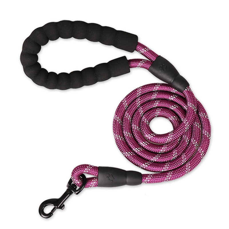 Nylon Training Dog Leash Webbing Recall Long Lead Line Pet Traction Rope Great for Teaching Camping Backyard