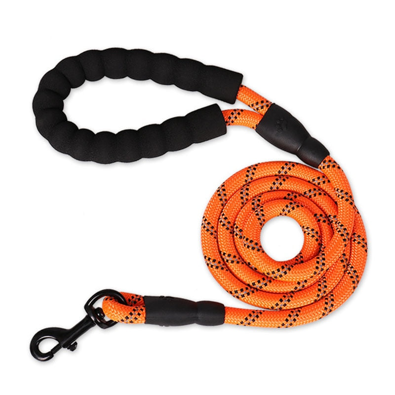 Nylon Training Dog Leash Webbing Recall Long Lead Line Pet Traction Rope Great for Teaching Camping Backyard